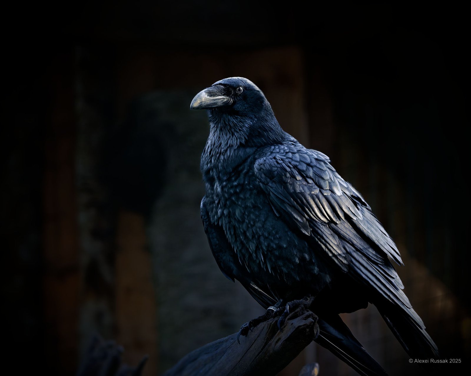 20251117-1404120310_1