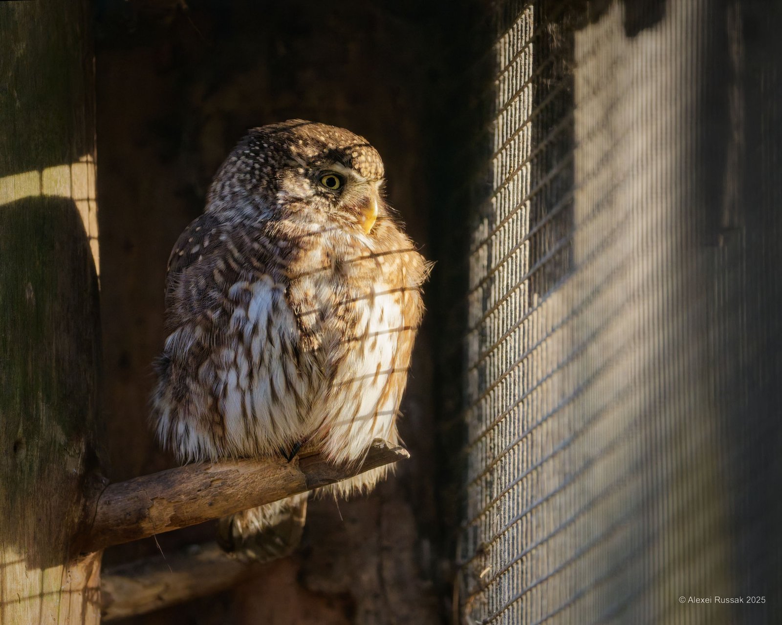 20251117-1406544550_1