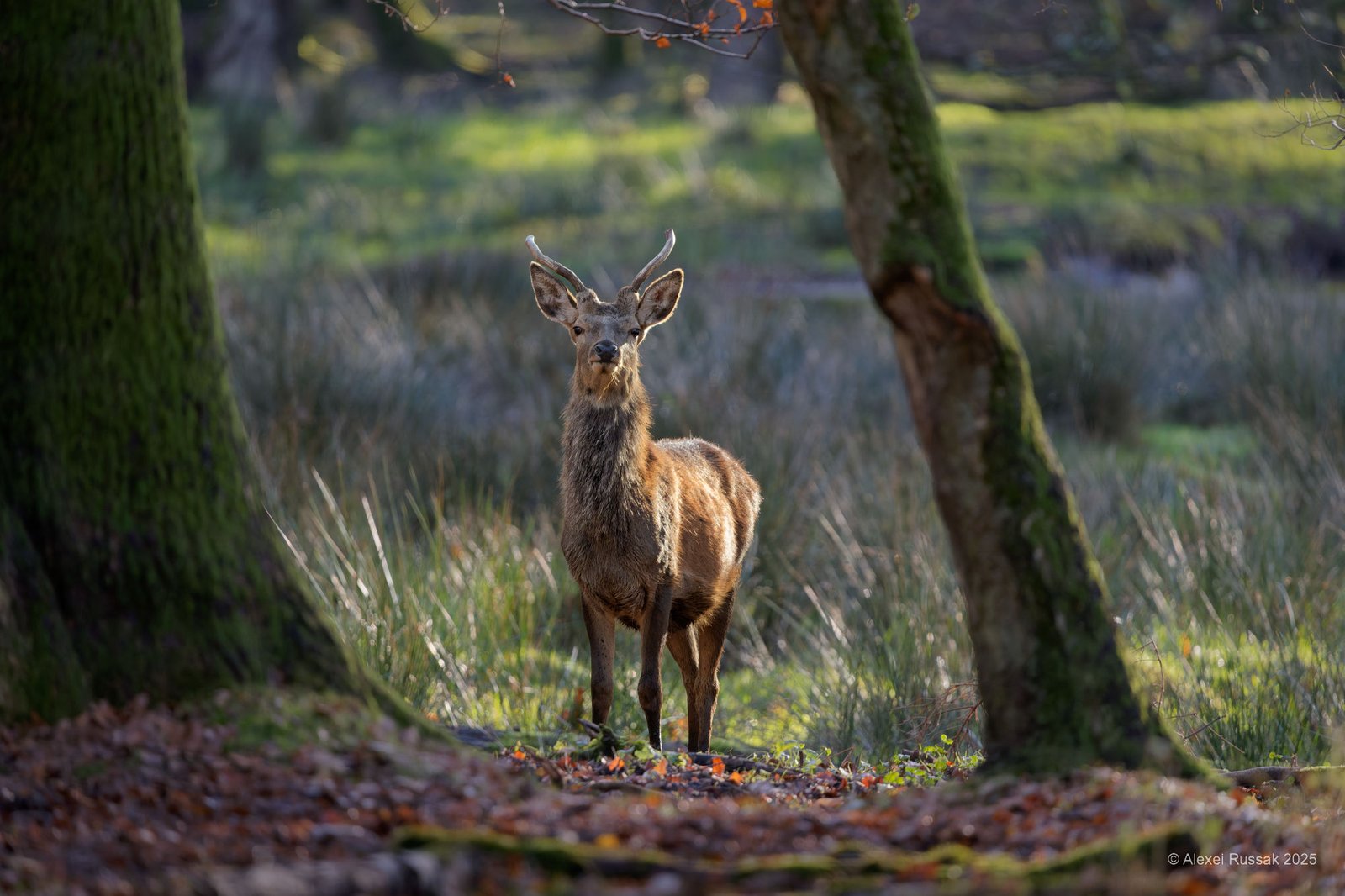 20251117-1409538420_1