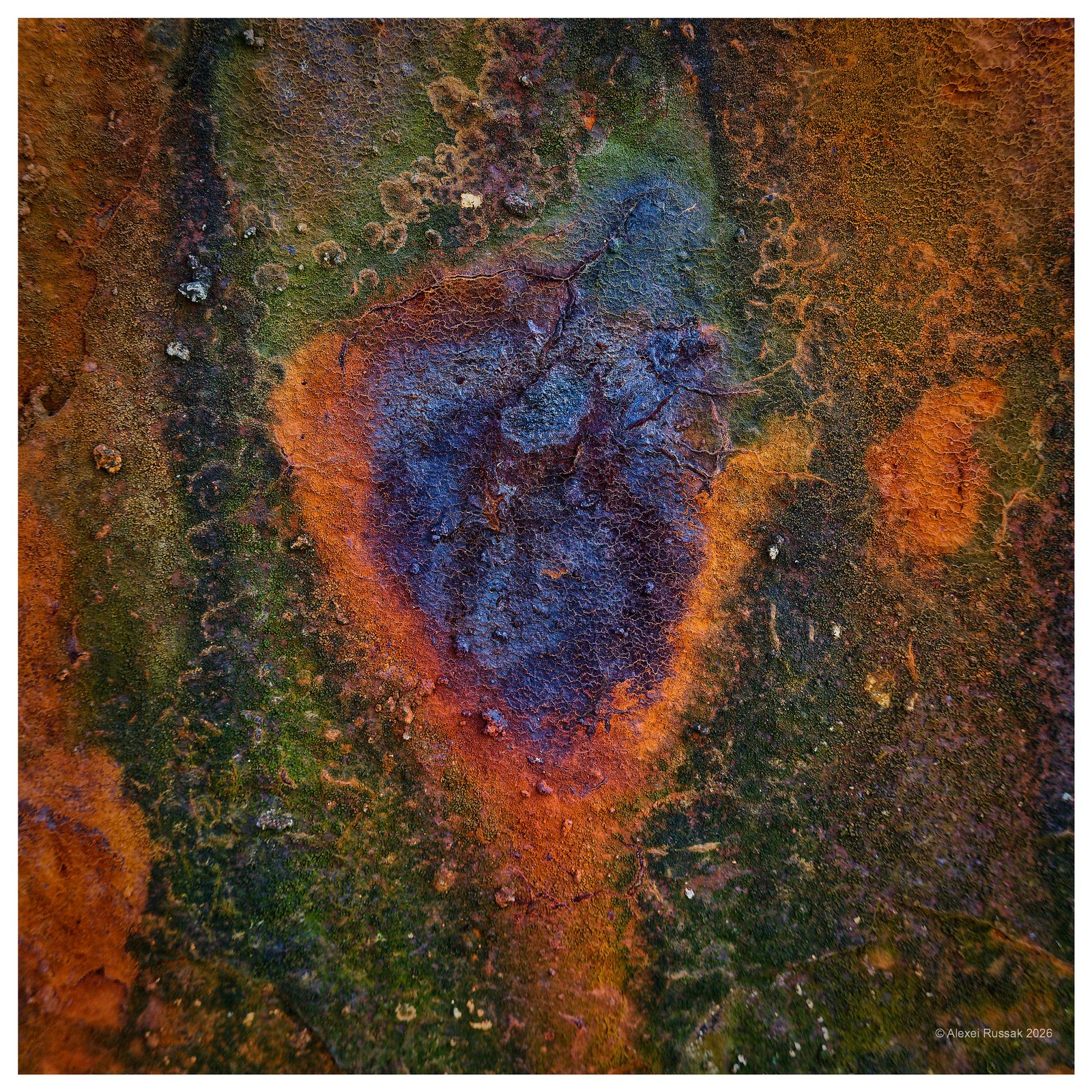 20260601-1710267050