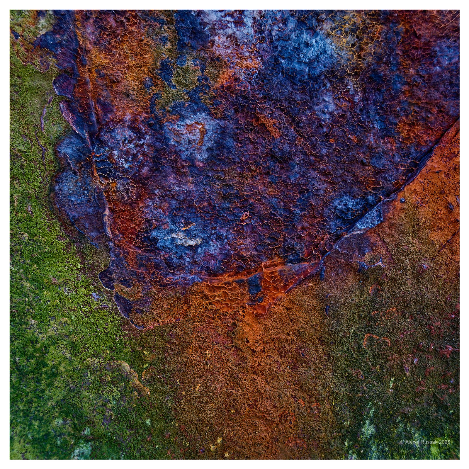 20260601-1710376760